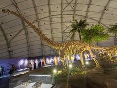 -辽宁古生物博物馆