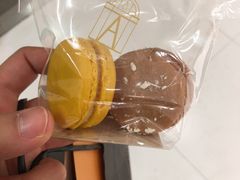 -Angelina(老佛爷店)