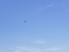 -青龙山国家森林公园