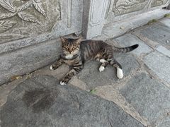 -宝通禅寺