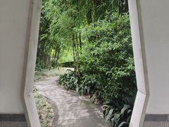 -晓港公园