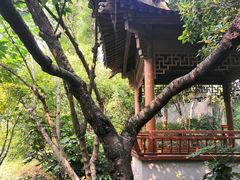 -杭州半山国家森林公园