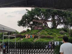 -自贡恐龙博物馆