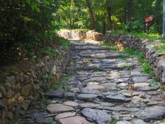 景点-阳台山自然风景区