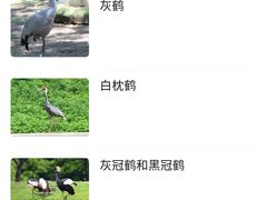 -哈尔滨北方森林动物园