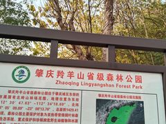 -羚羊峡古栈道森林公园