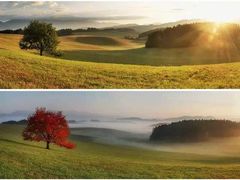 -苏州图书馆(姑苏区分馆)