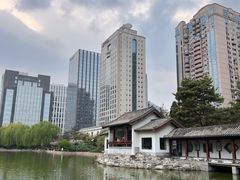 -团结湖公园