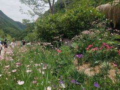 -牛背梁国家森林公园