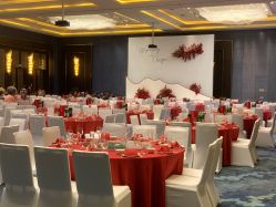 -三亚绿发山海天JW万豪酒店·宴会厅