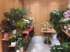 -蝶舍·MAISON PAPILLON