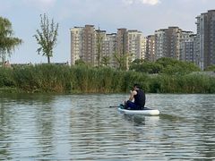 -新江湾城公园