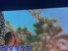 -魅KTV(北京望京万科时代中心店)