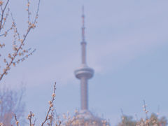 -南京古林公园