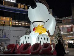 -中粮·祥云小镇