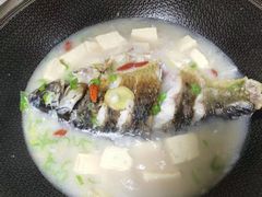 -爱月宝月嫂·育儿嫂(哈尔滨总店)