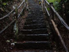 -海口火山口国家地质公园