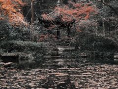 -虎跑公园