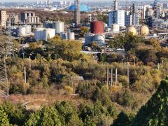 -白水寺森林公园