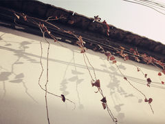 -芙蓉街-王府池子