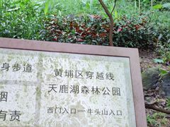 -天鹿湖森林公园