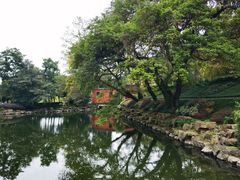 -冶父山国家森林公园