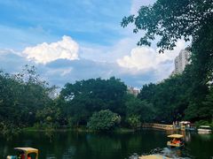 -晓港公园