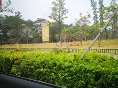 -双龙广场大酒店
