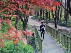 -新江湾城公园