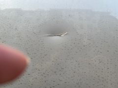 -蜂鸟快修喷漆钣喷汽修旗舰工厂(军工路店)