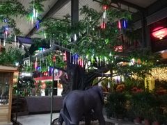 -君临七星生态酒店