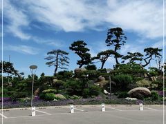 -罗红摄影艺术馆