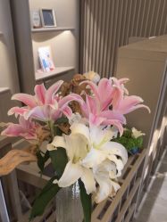 -8SPA养愈空间·新中式疗愈spa