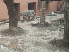 -青藏高原野生动物园