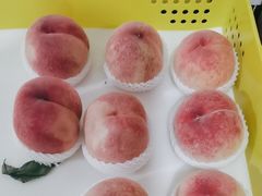 -老袁家蜜桃农场·阳山水蜜桃