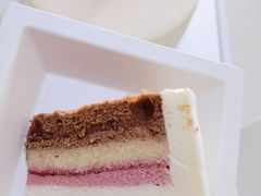-BLACKSWAN黑天鹅(环球店)
