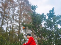 -前小桔亲子创意农场·草莓采摘·露营烧烤