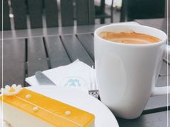 -Madeleine玛德琳(永平里店)