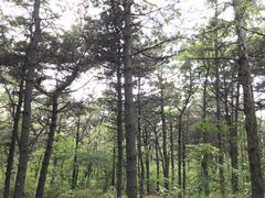 -棋盘山风景区