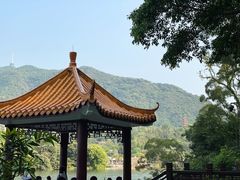 -深圳仙湖植物园