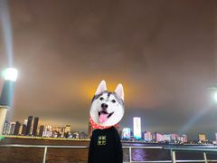 -武汉关码头(轮渡站)