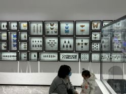 -酷嗒动物文化乐园(cutezoo西溪乐天城店)