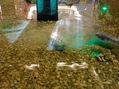 -宝燕海鲜(好爱店)