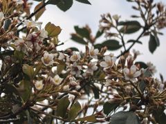 -福建泉州仙公山风景名胜区