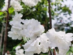 -深圳野生动物园