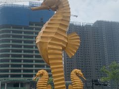 -江和美海洋公园