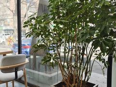 -十一咖啡(青年大街工厂店)