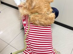 -美联众合动物医院·24h京西诊疗中心