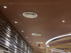 -巴奴毛肚火锅(大剧院店)