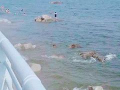 -老虎石海上公园